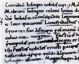 Erste urkundliche Erwähnung Laims